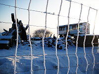 Winter am Mühlenhügel in Greiffenberg.